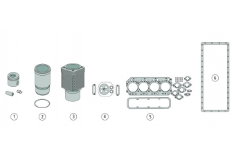 Obrázok pre Opravárenská sada motorov vhodné pre Case IH motory D 310 obsahuje 1, 2, 5, 6