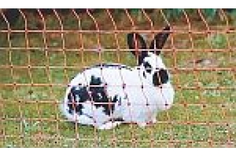 Obrázok pre Sada na elektrický ohradník pre králiky s použitím králičie siete 50 m