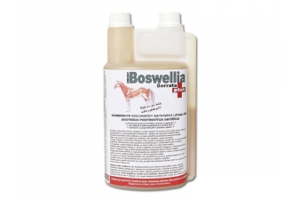 Obrázok pre Drom Boswellia serrata Plus 1000ml s protizápalovými a imunomodulačnými účinkami na koňa