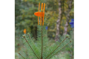 Obrázok pre PlantaGard® Cactus ochranná manžeta ihličnatých stromčekov proti ohryzeniu zverou oranžová 100 ks