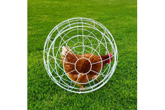 Obrázok pre Výběh pro slepice - velká koule - zamezuje létání, zajišťuje volný pohyb a ochranu slepice