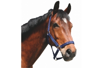 Obrázok pre Ohlávka pre kone nylonová s bandážou farba modrá veľkosť 2