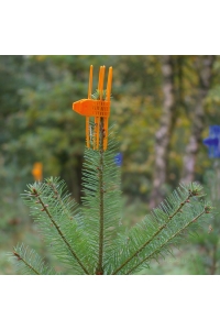Obrázok pre PlantaGard® Cactus ochranná manžeta ihličnatých stromčekov proti ohryzeniu zverou oranž 1000 ks