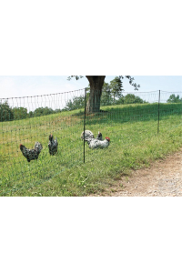 Obrázok pre Nevodivá síť pro drůbež, slepice, husy, kachny 106 cm /25 m 2 hroty