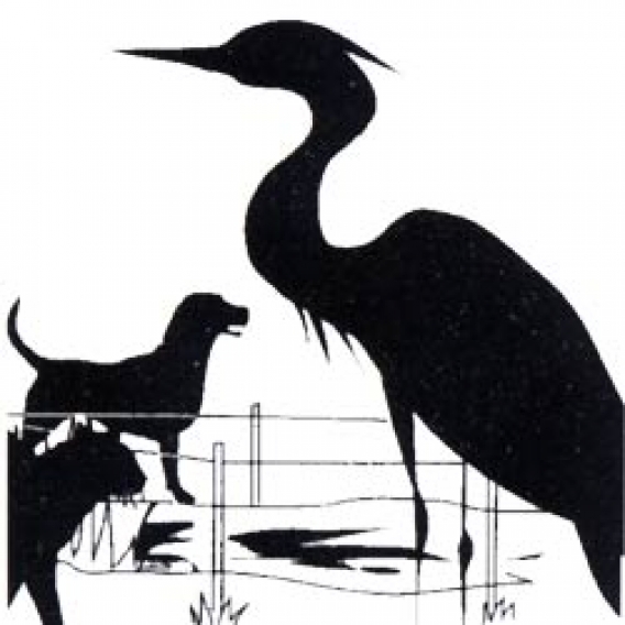 Obrázok pre Sada na elektrický ohradník na ochranu záhradných jazierok proti volavkám a domácim zvířatů