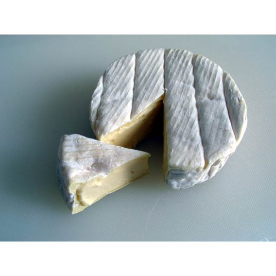 Obrázok pre Camembertská kultura Sigma 75 pro sýry s bílou plísní Penicillium CANDIDUM na 500 l mléka