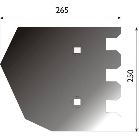 Obrázok pre Radlice vyorávače pravá 265 x 250 mm pro bramborový kombajn Grimme AgropaGroup