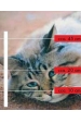 Obrázok pre Sada na elektrický ohradník pre mačky malý obvod