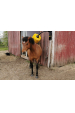 Obrázok pre Otočné drbadlo pro koně, pony, mladý skot EasySwing Midi pasivní s držákem 104 cm