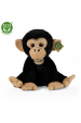 Obrázok pre Plyšový šimpanz Rappa velikost 28 cm