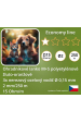 Obrázok pre Balení 4+1 ZDARMA - Ohradníkové lanko Economy line M+S 2 mm/250 m žluto-oranžové 15 Ohm/m