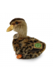 Obrázok pre Plyšová kachna divoká Rappa velikost 19 cm