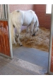 Obrázok pre Stajňová plastová rohož zámková plná malá 80 cm x 60 cm x 2,2 cm pre kone, dobytok a psy
