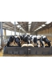 Obrázok pre Vyhrievaný plastový napájací žľab La Gee Polymax C 200 l 4x80W / 24V pre hovädzí dobytok