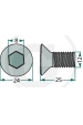 Obrázok pre Imbusový zápustná skrutka M12 x 25 pre klzné a podperné taniere Deutz-Fahr